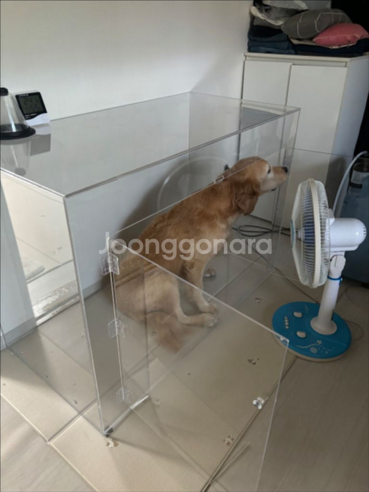 강아지 아크릴 케이지--0