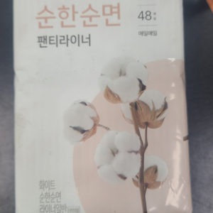 화이트 팬티라이 48개입 10팩