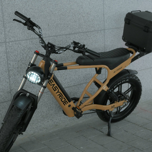 자토바이 이지라이더 올터레인 1000W