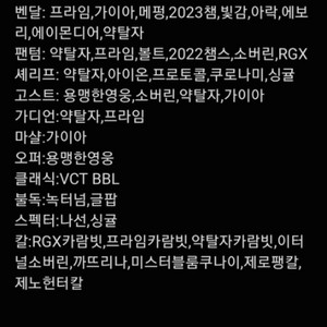 발로란트 챔스 굿즈 팝니다