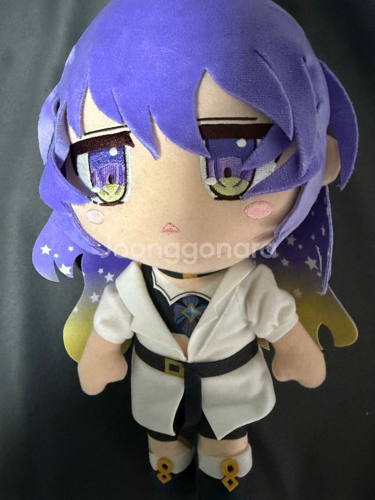 호시노바 무나 츠쿠모 콜라보 인형--0