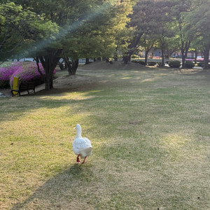 서든 sp
