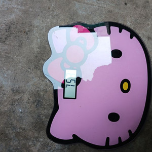 유명한 어린이 전자 체온계입니다