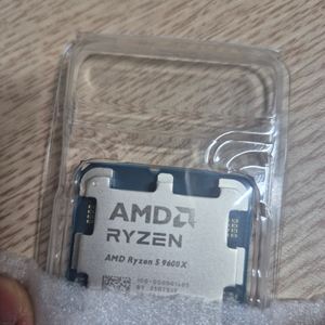라이젠 9600x