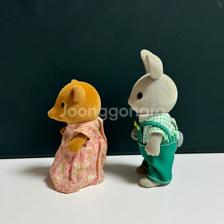 실바니안 올드 회색토끼 아빠, 여우 엄마--3