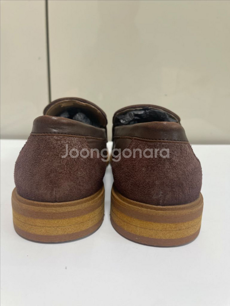 페드로 로퍼--2