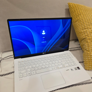 LG 그램 15인치 2TB (1TBx2)(15ZD90N