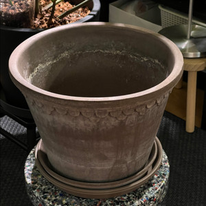 베르그 토분 코펜하겐 38cm