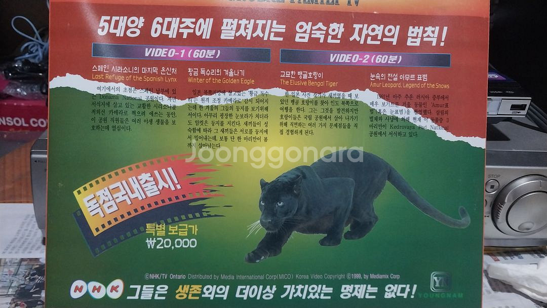 동물은 살아있다 비디오테이프--0