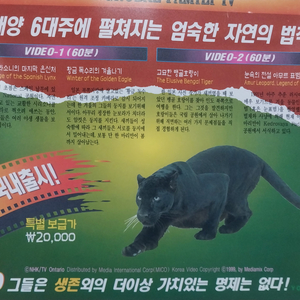동물은 살아있다 비디오테이프