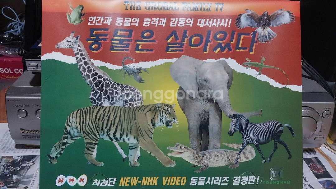 동물은 살아있다 비디오테이프--1