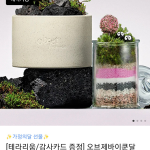 (미개봉) 쿤달 스톤 퍼퓸 디퓨저 화이트 & 테라리움