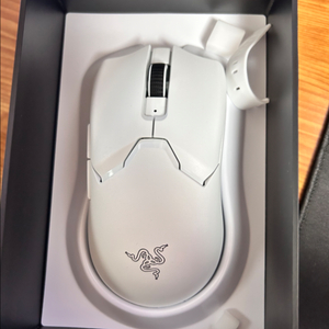 레이저 바이퍼 v2 pro