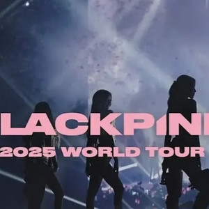 블랙핑크 콘서트 BLACK석 연석 양도