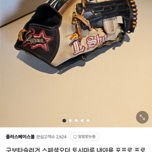 구보타 토시마루 NPB 실사