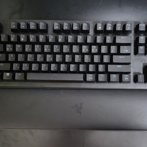 헌츠맨 v2리니어 tkl