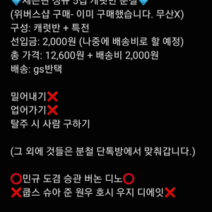 세븐틴 정규 5집 캐럿반 분철