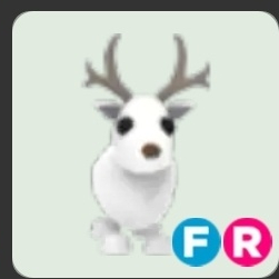 입양하세요 흰순