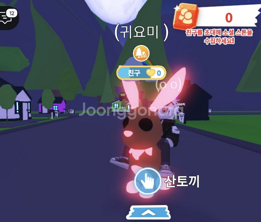입양하세요. 메가산토끼 팔아요--1