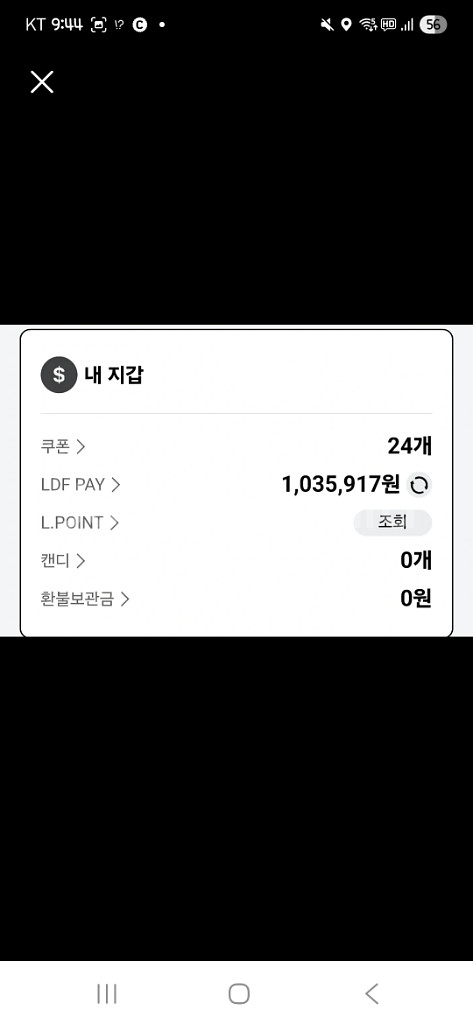 제한없는 LDF pay 팝니다.--0