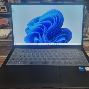 LG gram 15ZD90P-GX5LK