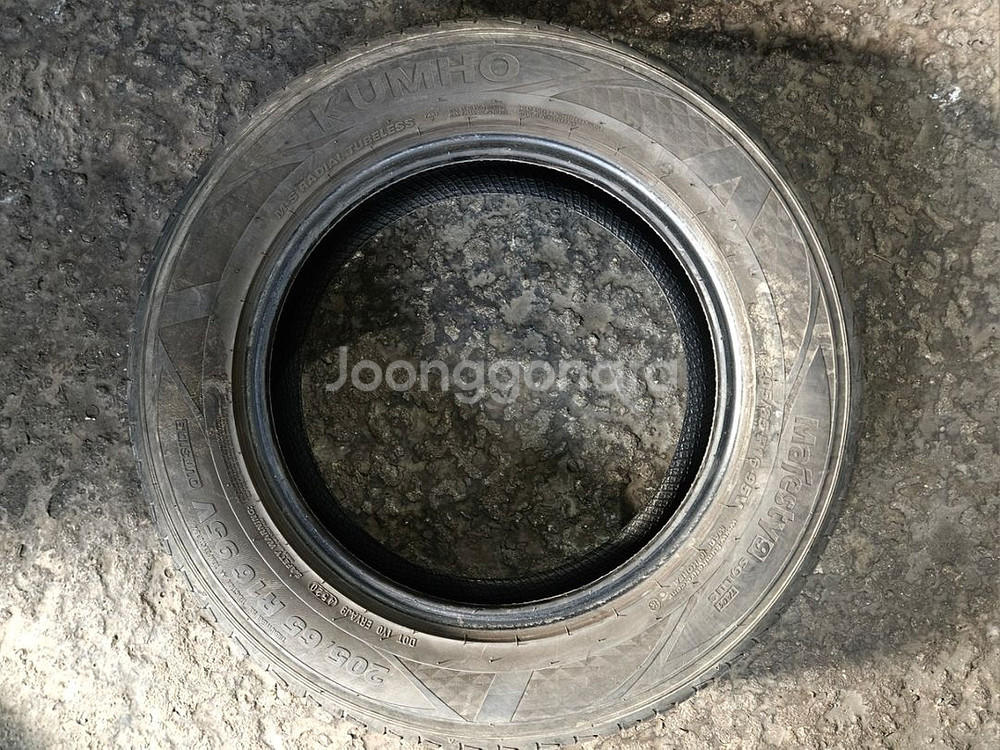 2056516 205 65 16 마제스티9 타이어--2