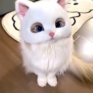 예약상품 입니다!