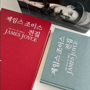 제임스조이스 전집 세트