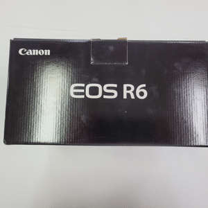 캐논 EOS R6