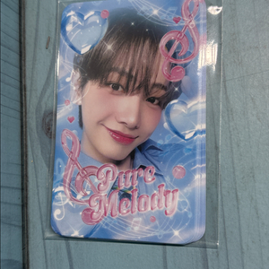 보넥도 포카교환