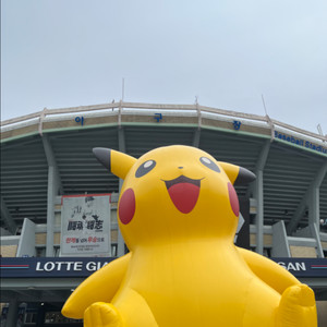 5/16 롯데vs삼성 5연석 구합니다