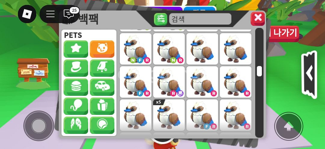 입양하세요 펫들--8
