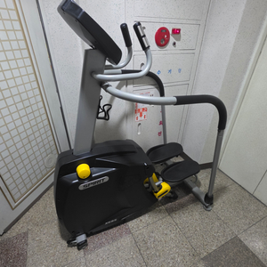 스피릿스텝퍼 천국의계단 xs95 판매합니다
