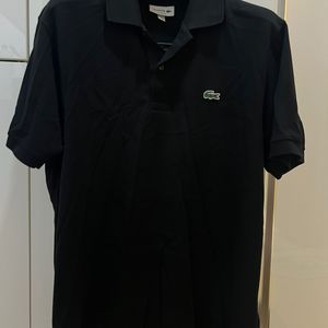 라코스테 반팔카라티 XL