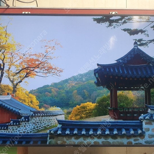 삼성 65인치 UHD TV 배송 가능