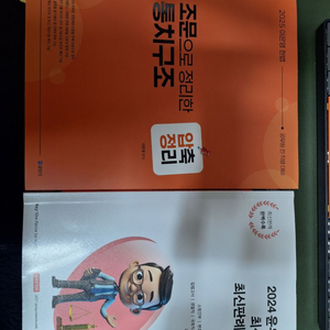 조문으로 정리한 통치구조 윤우혁 최신판례