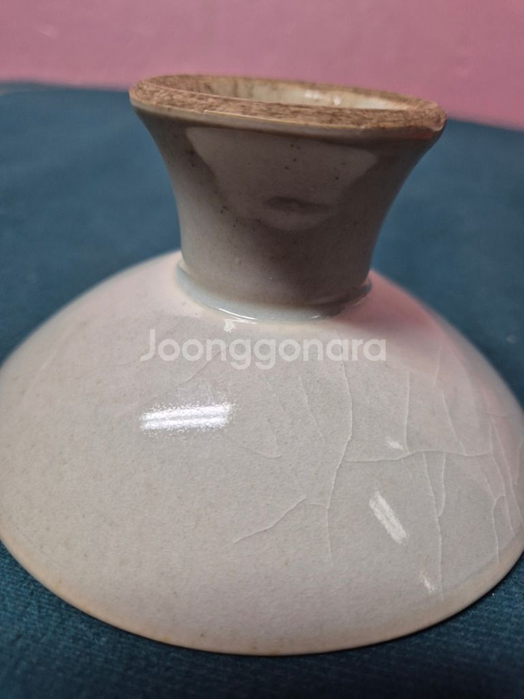 진사물고기자잔대--6