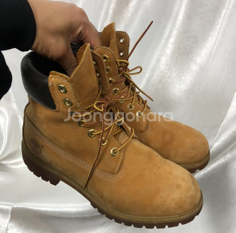 팀버랜드 6인치 프리미엄 8w 260--0