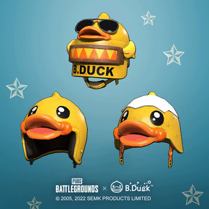 스팀배그 bDUCK 헬멧세트 + 지코인 판매합니다