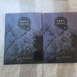 (bl소설)[그웬돌린]반야가인