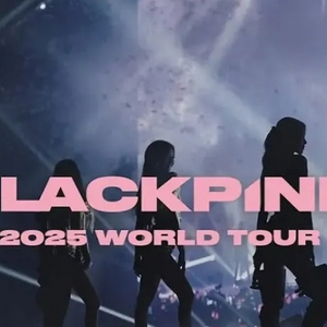 블랙핑크 콘서트 BLACK석 연석 양도