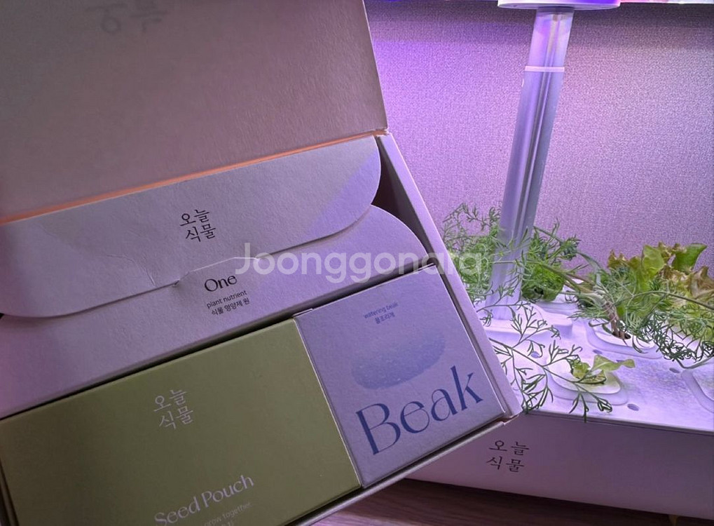 오늘식물 수경 식물 재배기 풀박스 판매합니다! air--1