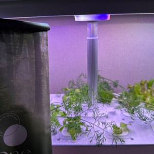 오늘식물 수경 식물 재배기 풀박스 판매합니다! air