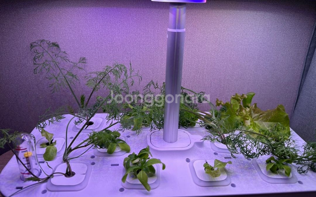 오늘식물 수경 식물 재배기 풀박스 판매합니다! air--2