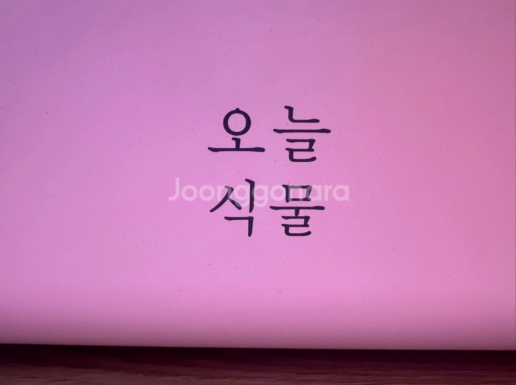 오늘식물 수경 식물 재배기 풀박스 판매합니다! air--4