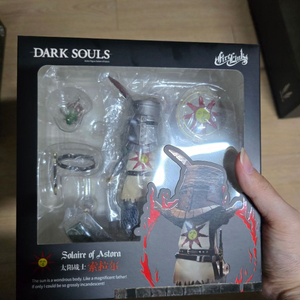 다크소울 태양전사 솔라 넨드로이드