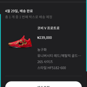 [265]나이키 코비 5 프로트로 유니버시티 레드