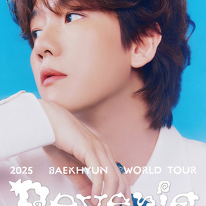 2025 백현 월드투어 Reverie 콘서트 VIP
