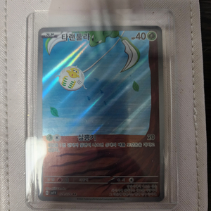 포켓몬카드 tcg 타랜툴라 ar