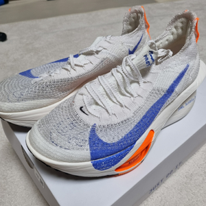 알파플라이3 블루프린트 250